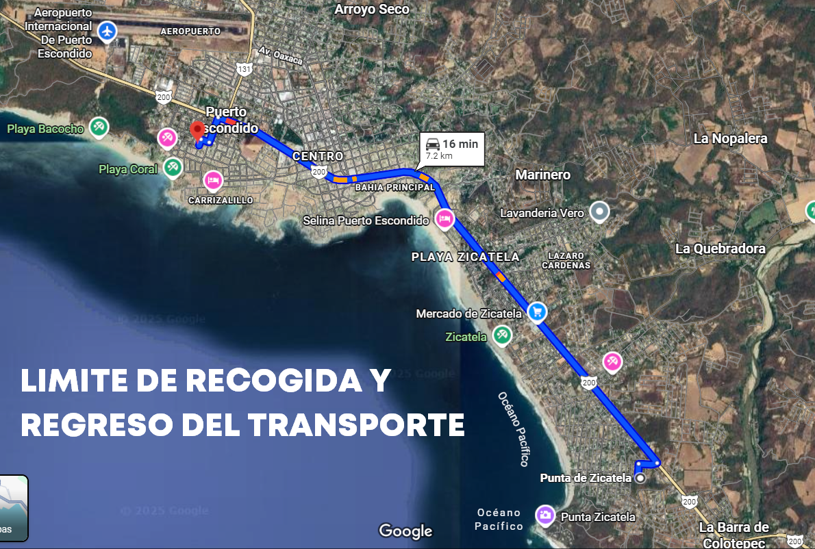 Liberación Tortugas en Puerto Escondido - TRANSPORTE REDONDO