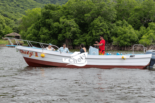 Lancha privada en Laguna Bioluminiscente recorrido diurno