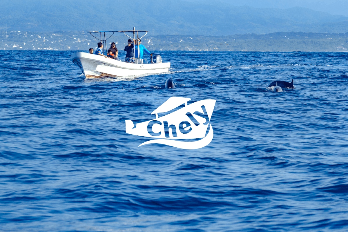 Delfines avistamiento en Puerto Escondido - con transporte (solo ida)