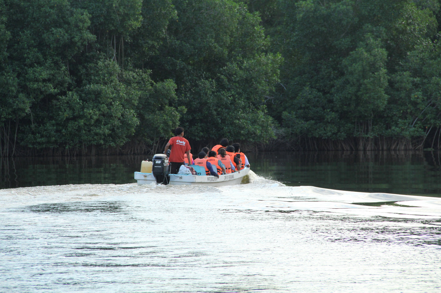 Fogata + Bioluminiscencia - Atardecer en la playa, bombones, fauna y flora - Puerto Escondido
