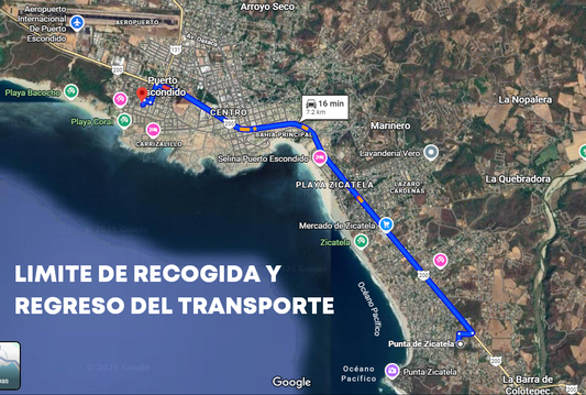 Liberación Tortugas en Puerto Escondido - TRANSPORTE REDONDO