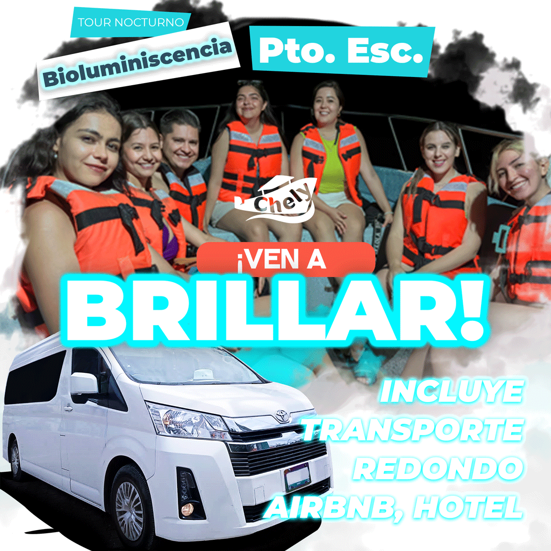 Tour a la BIOLUMINISCENCIA - Transporte redondo Airbnb, Hospedaje - Puerto Escondido