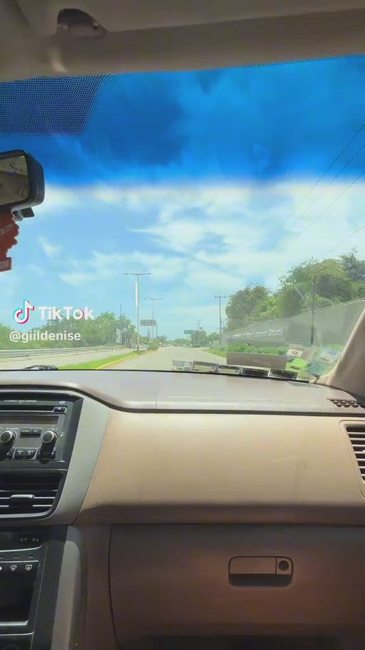 Taza de recuerdo + Bioluminiscencia recorrido nocturno